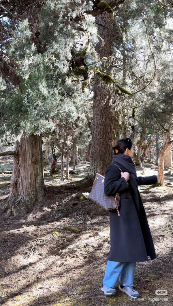 【85成新】LV NEVERFULL GM 