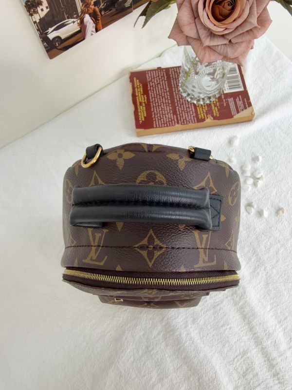 【95成新】LV Palm Springs Mini 