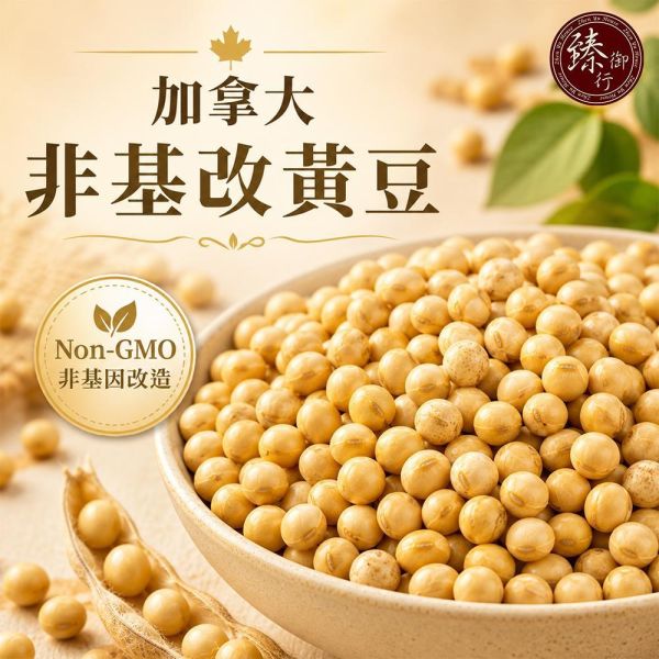 臻御行 加拿大非基改黃豆 1000g 