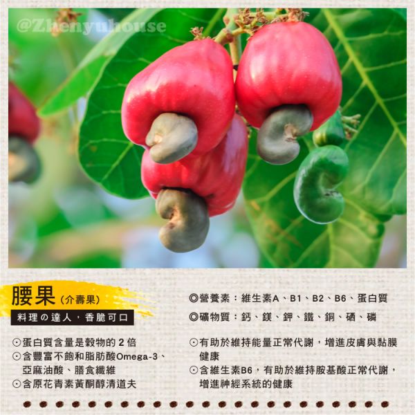 特大薄鹽帶皮腰果300g 臻御行 【採用WW180 巨無霸尺寸 低溫烘焙】 特大,薄鹽,腰果,帶皮腰果,堅果,辦公室下午茶,零食,送禮,過年,節慶,團購,冠軍,腰果,帶皮腰果,素食,休閒食品,養生