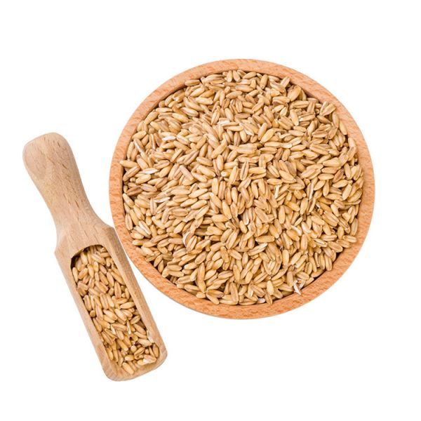 燕麥粒1000g(需蒸煮後才可食用) 臻御行 辦公室下午茶,零食,蜜餞,送禮,過年,節慶,團購,冠軍,古早味,台灣零食,伴手禮