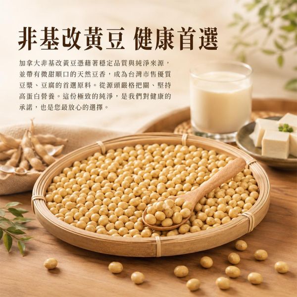 臻御行 加拿大非基改黃豆 1000g 