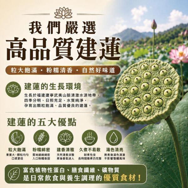即食蜂蜜燉蓮子20包組(30g/包) 蜂蜜燉蓮子 蜂蜜 森林野蜂蜜 蔣哥 誠漢 蓮子 建蓮