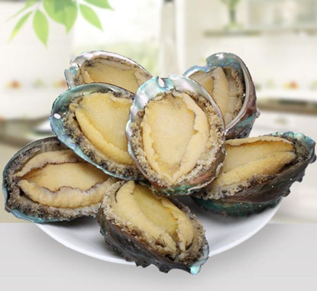 帶殼鮑魚1袋組(8顆/袋) 