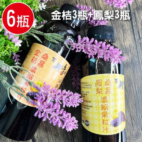 台灣老欉桑葚果粒汁6瓶組(600g/瓶)(金桔口味3瓶+鳳梨口味3瓶) 嘉義桑葚 濃縮原汁 桑葚 金桔 鳳梨