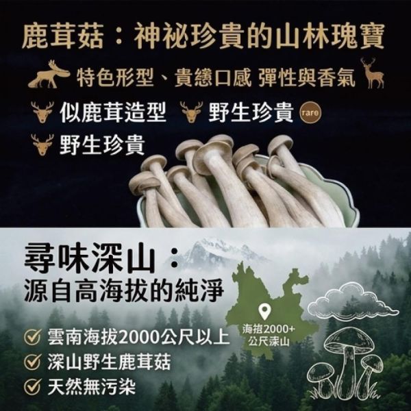 金牌干鍋鹿茸菇6罐組(200g±9g(固形物140g)/罐) 干鍋 鹿茸菇 雲南菜 金牌