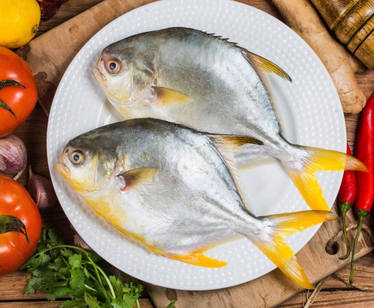 冷凍金鯧魚3尾組(650g+-10%/尾) 