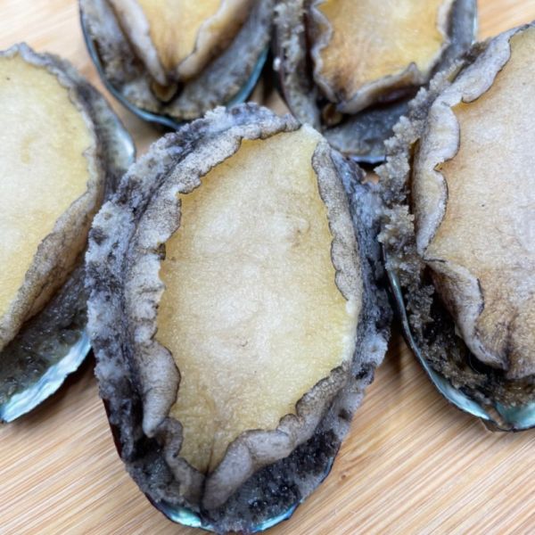 帶殼鮑魚1袋組(8顆/袋) 