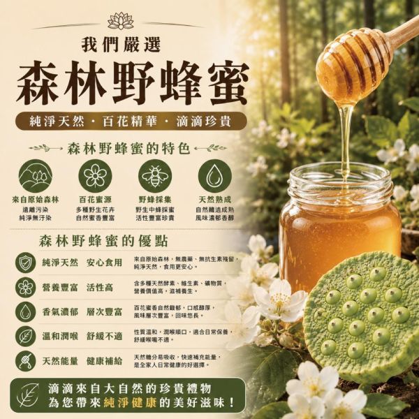 即食蜂蜜燉蓮子20包組(30g/包) 蜂蜜燉蓮子 蜂蜜 森林野蜂蜜 蔣哥 誠漢 蓮子 建蓮