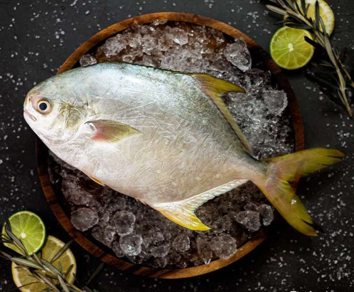 冷凍金鯧魚3尾組(650g+-10%/尾) 