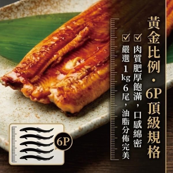 外銷日本等級日式蒲燒鰻5袋組(200g(固形物125g)/袋) 蒲燒鰻 日本 6P 蔣哥 鰻魚