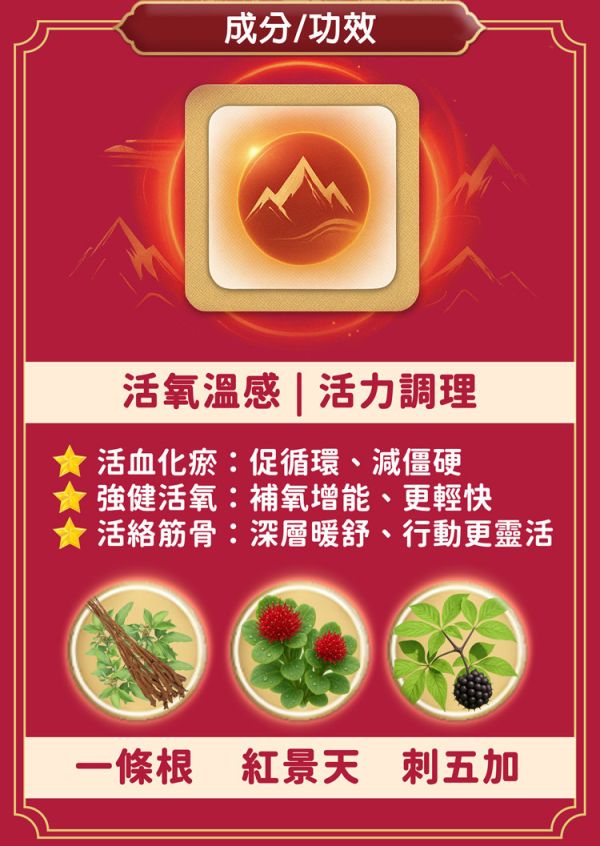 Golden Oxygenating Warmth Gift Box Tai Yi Yuan, Latao-Gung, rhodiola warming patch, oxygenating heat patch, herbal warming patch gift set, muscle fatigue relief patch, neck and back pain relief, post-workout recovery patch, menstrual c