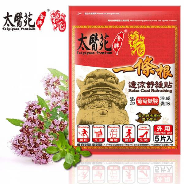 透涼舒緩貼布｜買10送2豪禮包 