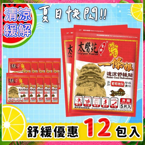 【𝟭𝟮入快閃補充包】透涼舒緩貼布5片入 