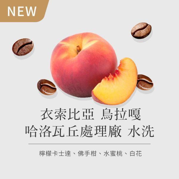 《水蜜桃&茉莉》衣索比亞 水洗 烏拉嘎 哈洛瓦丘處理廠 • 咖啡濾掛10入 咖啡豆推薦,精品咖啡豆,網購咖啡豆推薦,衣所比亞咖啡豆,網購咖啡豆專門店,咖啡豆,咖啡濾掛10入