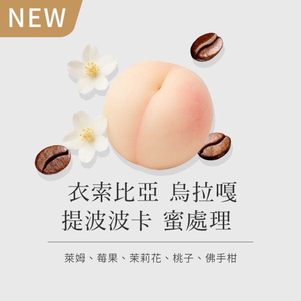 《萊姆& 桃子風味》衣索比亞 烏拉嘎 提波波卡 蜜處理 • 單品咖啡豆200g 咖啡豆推薦,精品咖啡豆,網購咖啡豆推薦,衣所比亞咖啡豆,網購咖啡豆專門店