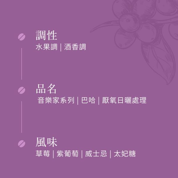 《威士忌&太妃糖》哥斯大黎加  音樂家系列 巴哈  葡萄乾蜜處理 • 單品咖啡豆 台北咖啡豆,網購咖啡豆,經品咖啡豆,網購咖啡豆推薦,音樂家咖啡豆