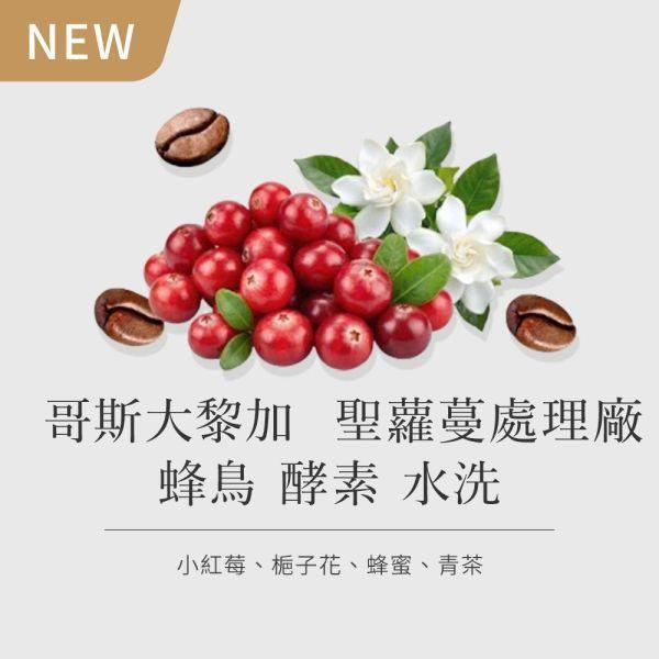 《小紅莓&梔子花》哥斯大黎加 聖蘿蔓處理廠 蜂鳥 酵素水洗 • 咖啡濾掛10入 台北咖啡豆,網購咖啡豆,經品咖啡豆,網購咖啡豆推薦,音樂家咖啡濾掛10入
