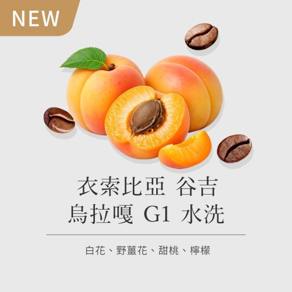 《杏桃&野薑花風味》衣索比亞 谷吉 烏拉嘎 G1 水洗 • 單品咖啡豆200g/100g 咖啡豆推薦,精品咖啡豆,網購咖啡豆推薦,衣所比亞咖啡豆,網購咖啡豆專門店,咖啡豆,咖啡豆