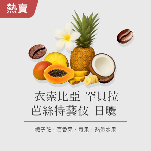 《 熱帶水果 & 梔子花 》衣索比亞 罕貝拉 芭絲特藝伎  日曬  • 單品咖啡豆200g/100g 咖啡豆推薦,精品咖啡豆,網購咖啡豆推薦,衣所比亞咖啡豆,網購咖啡豆專門店