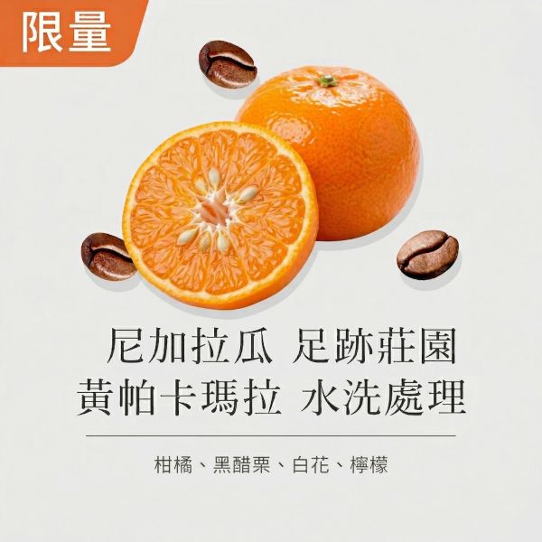 《 百年莊園風味 》尼加拉瓜 米耶瑞詡家族 足跡莊園 黃帕卡瑪拉 水洗處理 • 單品咖啡豆200g/100g 咖啡豆推薦,精品咖啡豆,網購咖啡豆推薦,衣所比亞咖啡豆,網購咖啡豆專門店,咖啡豆