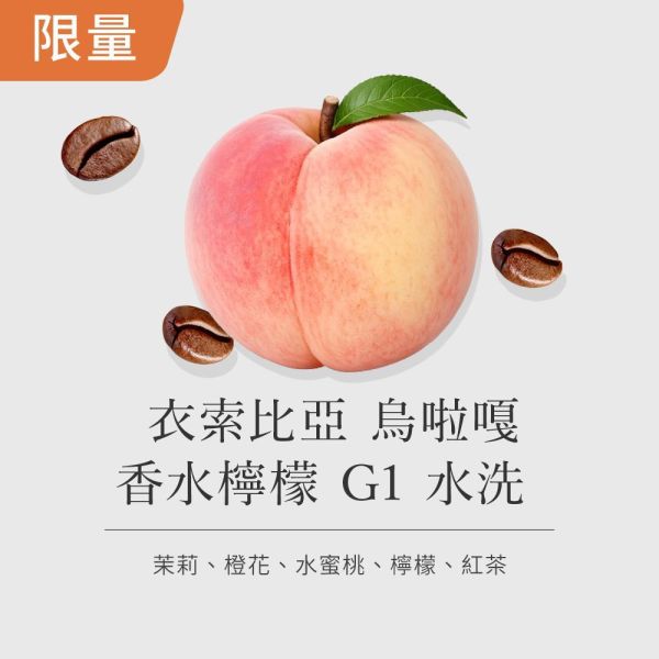 《橙花&水蜜桃風味》衣索比亞 烏啦嘎 香水檸檬G1 水洗  •  單品咖啡豆200g/100g 咖啡豆推薦,精品咖啡豆,網購咖啡豆推薦,衣所比亞咖啡豆,網購咖啡豆專門店