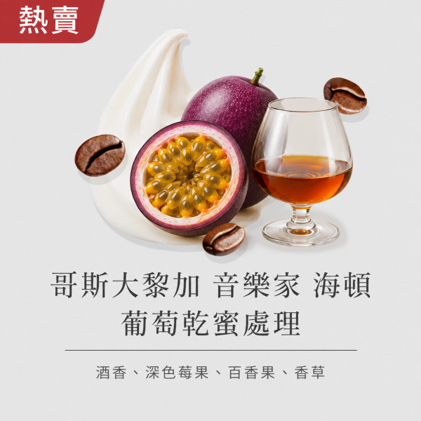 《百香果&酒香》哥斯大黎加 音樂家 海頓 葡萄乾蜜處理 • 單品咖啡豆200g/100g 咖啡豆,咖啡豆購買,網購咖啡豆,咖啡豆推薦