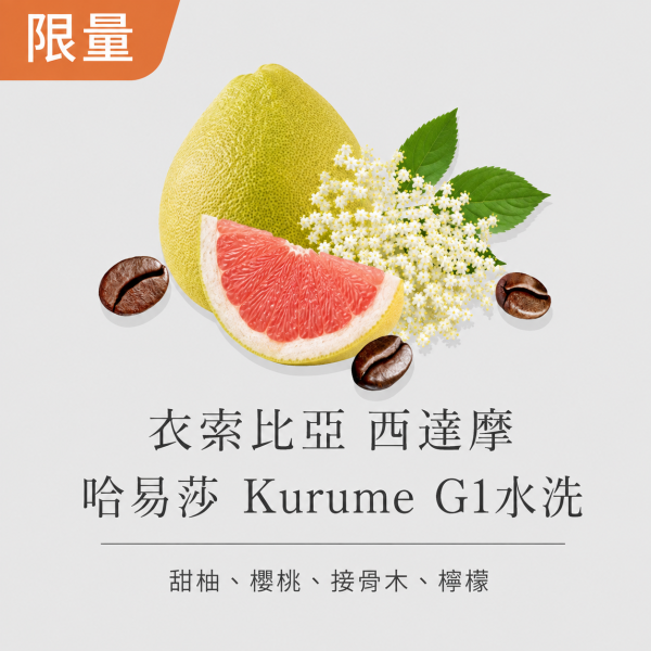 《甜柚&接骨木》衣索比亞 西達摩 哈易莎 Kurume  G1水洗 • 咖啡濾掛10入 咖啡豆,咖啡豆購買,網購咖啡豆,咖啡豆推薦,咖啡濾掛