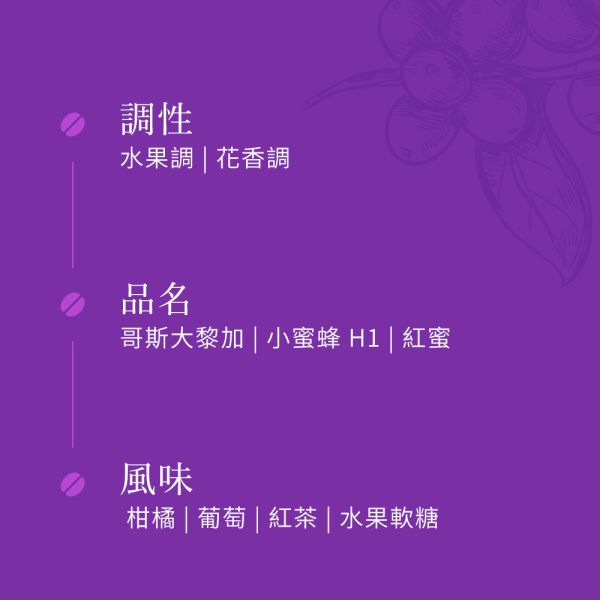 《葡萄&玫瑰風味》哥斯大黎加 小蜜蜂 H1 紅蜜  • 單品咖啡豆200g/100g 哥斯大黎加咖啡豆,咖啡豆,精品咖啡豆,網購咖啡豆