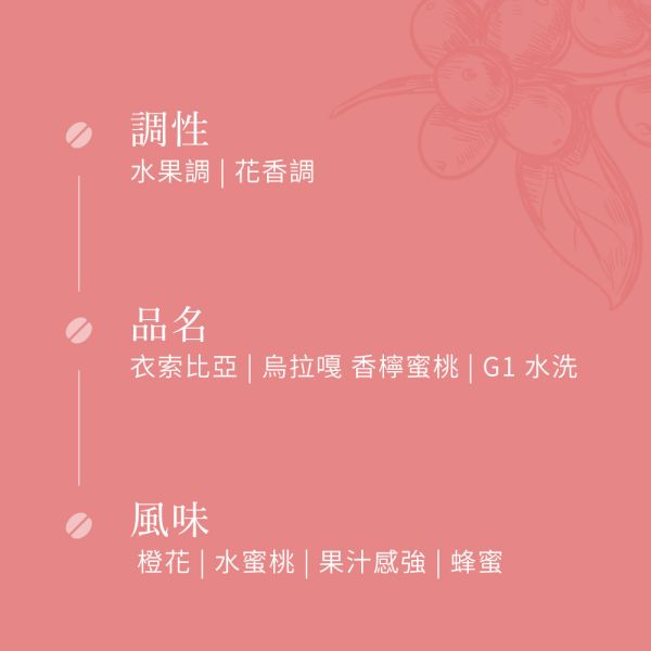 《水蜜桃&蜂蜜風味》衣索比亞 烏拉嘎 香檸蜜桃 G1 水洗  • 單品咖啡豆200g/100g 咖啡豆推薦,精品咖啡豆,網購咖啡豆推薦,衣所比亞咖啡豆,網購咖啡豆專門店