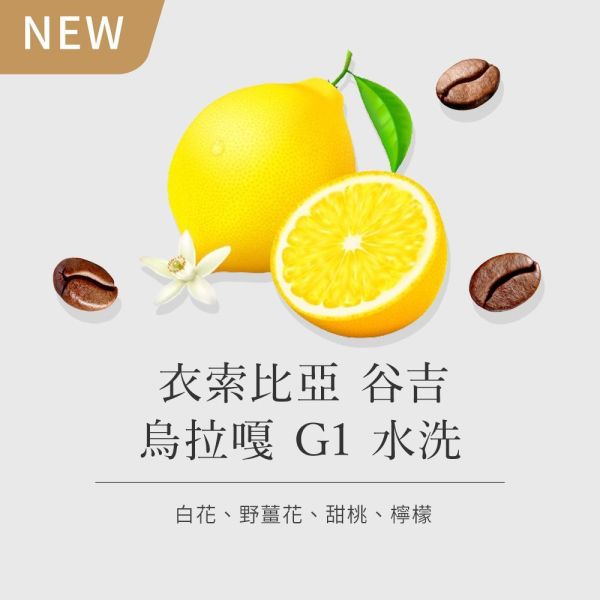 《檸檬&野薑花風味》衣索比亞 谷吉 烏拉嘎 G1 水洗 • 咖啡濾掛10入 咖啡豆推薦,精品咖啡豆,網購咖啡豆推薦,衣所比亞咖啡豆,網購咖啡豆專門店,咖啡豆,咖啡濾掛10入