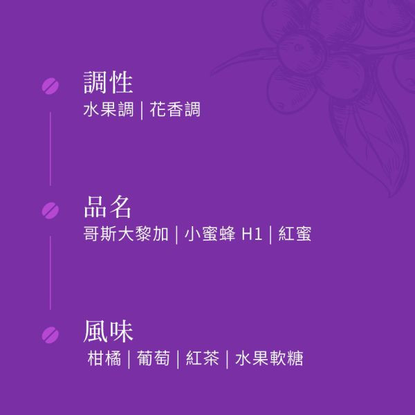 《葡萄&玫瑰風味》哥斯大黎加 小蜜蜂 H1 紅蜜  • 咖啡濾掛10入 哥斯大黎加咖啡豆,咖啡豆,精品咖啡豆,網購咖啡豆,咖啡濾掛