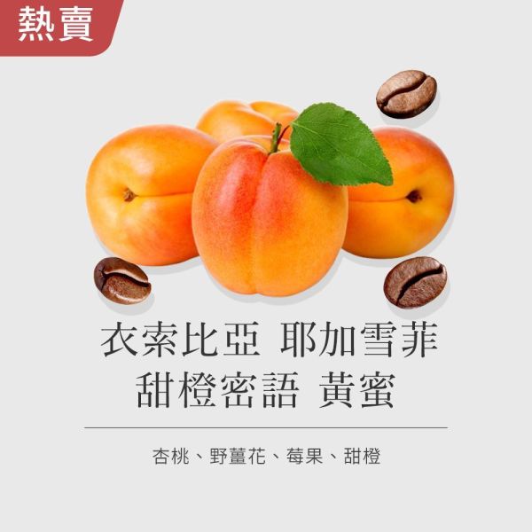 《杏桃&野薑花風味》衣索比亞 耶加雪菲 甜橙密語 黃蜜 • 單品咖啡豆200g/100g 咖啡豆推薦,精品咖啡豆,網購咖啡豆推薦,衣所比亞咖啡豆,網購咖啡豆專門店,咖啡豆