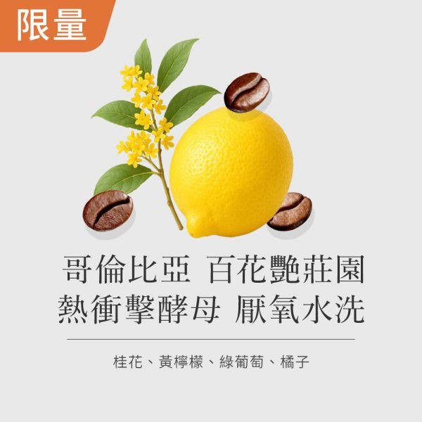 《 桂花&黃檸檬風味 》哥倫比亞 百花艷莊園 熱衝擊 水洗  •  咖啡濾掛5入/10入 聖荷西莊園蘭姆水洗咖啡豆,咖啡豆,精品咖啡豆,網購咖啡豆推薦