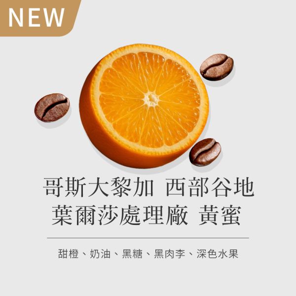 《 熱帶水果&茉莉花風味 》 哥斯大黎加 西部谷地 葉爾莎處理廠 黃蜜 • 單品咖啡豆200g 咖啡豆推薦,精品咖啡豆,網購咖啡豆推薦,衣所比亞咖啡豆,網購咖啡豆專門店