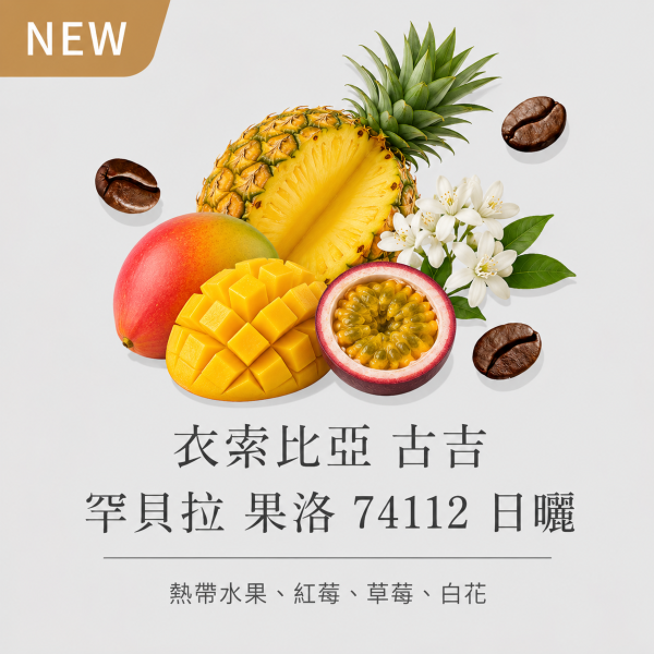 《熱帶水果&白花風味》衣索比亞 古吉 罕貝拉 果洛 74112 日曬• 咖啡濾掛10入 咖啡豆推薦,精品咖啡豆,網購咖啡豆推薦,衣所比亞咖啡豆,網購咖啡豆專門店,咖啡豆,單品咖啡豆,咖啡濾掛