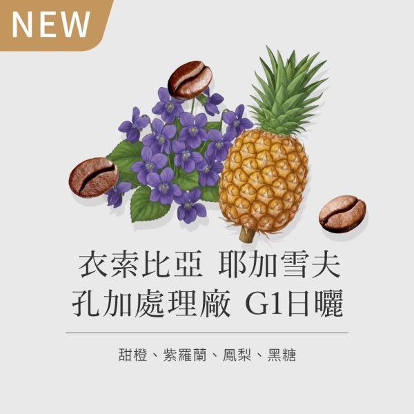 《紫羅蘭& 鳳梨風味》衣索比亞 耶加雪夫 孔加處理廠 G1日曬  • 咖啡濾掛10入 咖啡豆推薦,精品咖啡豆,網購咖啡豆推薦,衣所比亞咖啡豆,網購咖啡豆專門店