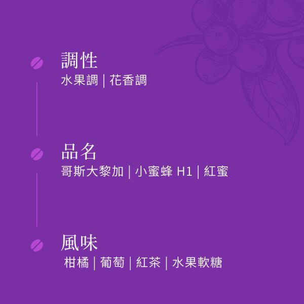 《葡萄&玫瑰風味》哥斯大黎加 小蜜蜂 H1 紅蜜  • 冷萃咖啡包10入 哥斯大黎加咖啡豆,咖啡豆,精品咖啡豆,網購咖啡豆, 冷萃咖啡包10入