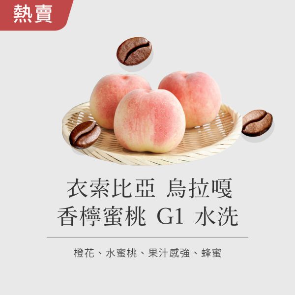 《水蜜桃&蜂蜜風味》衣索比亞 烏拉嘎 香檸蜜桃 G1 水洗  • 單品咖啡豆200g/100g 咖啡豆推薦,精品咖啡豆,網購咖啡豆推薦,衣所比亞咖啡豆,網購咖啡豆專門店