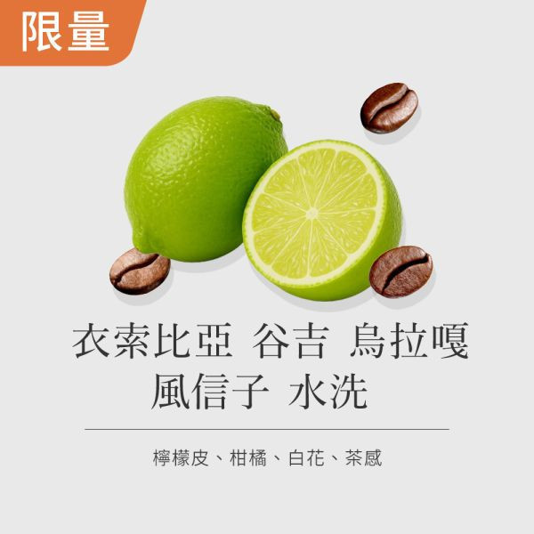 《檸檬& 白花風味》衣索比亞 谷吉 烏拉嘎 風信子 水洗 G1 •  單品咖啡豆200g/100g 咖啡豆推薦,精品咖啡豆,網購咖啡豆推薦,衣所比亞咖啡豆,網購咖啡豆專門店