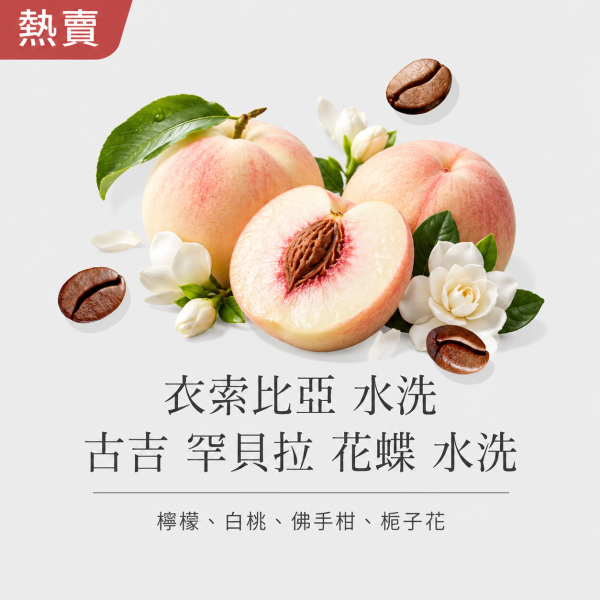 《TOH冠軍處理廠》衣索比亞 水洗 古吉 罕貝拉 花蝶 水洗 • 咖啡濾掛5/10入 咖啡豆,咖啡豆購買,網購咖啡豆,咖啡豆推薦,咖啡濾掛