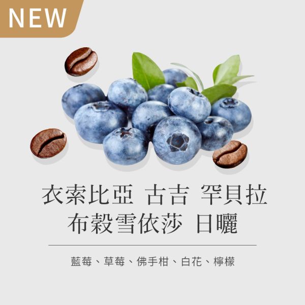 《藍莓& 佛手柑風味》衣索比亞 古吉 罕貝拉 布穀雪依莎  日曬  • 單品咖啡豆200g/100g 咖啡豆推薦,精品咖啡豆,網購咖啡豆推薦,衣所比亞咖啡豆,網購咖啡豆專門店