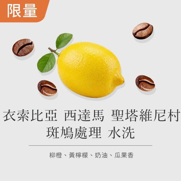 《黃檸檬&奶油》衣索比亞 西達馬 班莎鎮  聖塔維尼村 斑鳩處理廠 水洗 • 單品咖啡豆200g/100g 咖啡豆推薦,精品咖啡豆,網購咖啡豆推薦,衣所比亞咖啡豆,網購咖啡豆專門店,咖啡豆