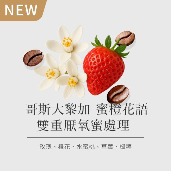 《橙花&草莓風味》哥斯大黎加 蜜橙花語 雙重厭氧蜜處理  • 單品咖啡豆200g / 100g 網購咖啡豆推薦,咖啡豆,咖啡