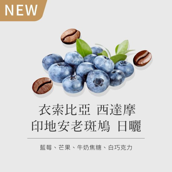 《藍莓&焦糖風味》衣索比亞 西達摩 印地安老斑鳩 日曬 G1 • 咖啡濾掛10入 咖啡豆推薦,精品咖啡豆,網購咖啡豆推薦,衣所比亞咖啡豆,網購咖啡豆專門店,咖啡豆