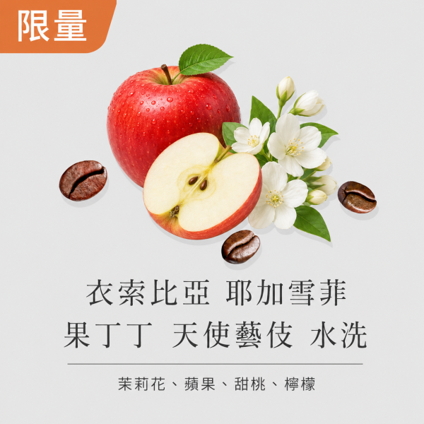 《茉莉花&蘋果》衣索比亞 耶加雪菲 果丁丁 天使藝伎 水洗 • 單品咖啡豆200g/100g 咖啡豆,咖啡豆購買,網購咖啡豆,咖啡豆推薦