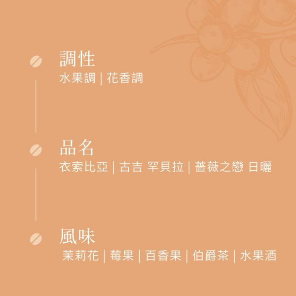 《茉莉花 & 百香果風味 》衣索比亞 古吉 罕貝拉 薔薇之戀 日曬 G1 • 咖啡濾掛10入 咖啡豆推薦,精品咖啡豆,網購咖啡豆推薦,衣所比亞咖啡豆,網購咖啡豆專門店,咖啡豆,咖啡濾掛