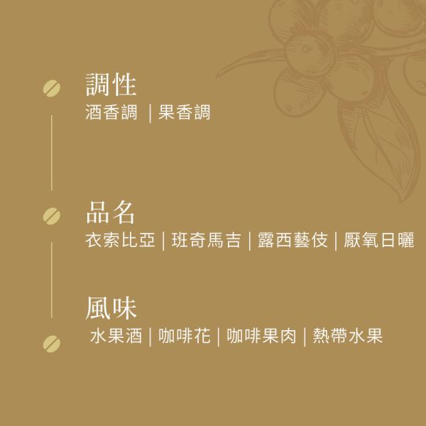 《水果酒 & 咖啡花風味》衣索比亞 班奇馬吉 露西藝伎 厭氧日曬 • 咖啡濾掛10入 咖啡豆推薦,精品咖啡豆,網購咖啡豆推薦,衣所比亞咖啡豆,網購咖啡豆專門店