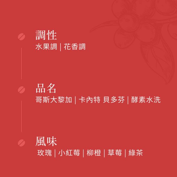 《2025音樂家系列》哥斯大黎加 卡內特 貝多芬 酵素水洗  • 單品咖啡豆 台北咖啡豆,網購咖啡豆,經品咖啡豆,音樂家咖啡豆,網購咖啡豆推薦