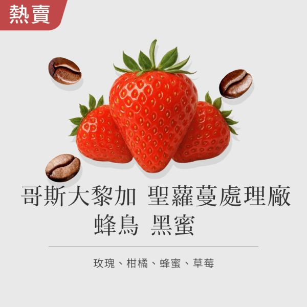 《玫瑰&草莓風味》哥斯大黎加 聖蘿蔓處理廠 蜂鳥 黑蜜  • 冷萃咖啡包10入 哥倫比亞咖啡豆,咖啡豆,精品咖啡豆,網購咖啡豆,冷萃咖啡包